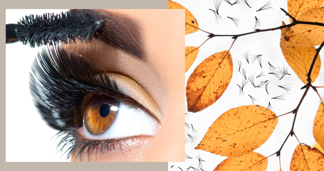 Do My Lashes Fall Like Autumn Leaves?